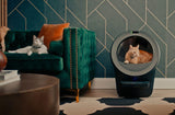 cats wearing Whisker Cat Collars with Litter-Robot 5 Pro