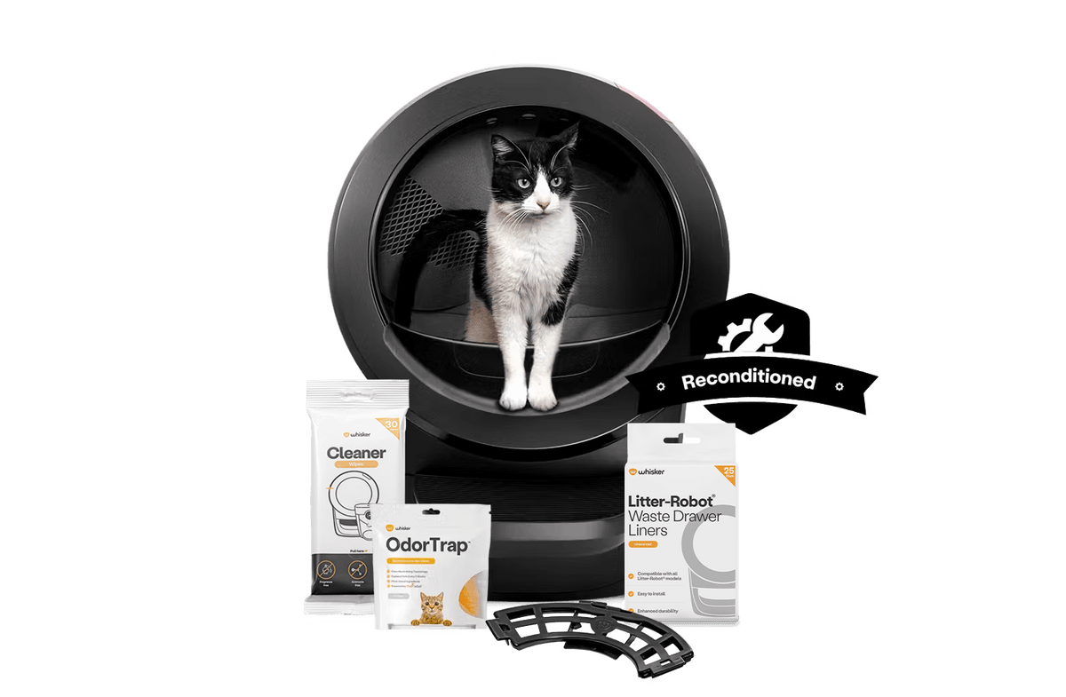 Black and White cat in an Litter-Robot 4-Reconditioned Bundle
