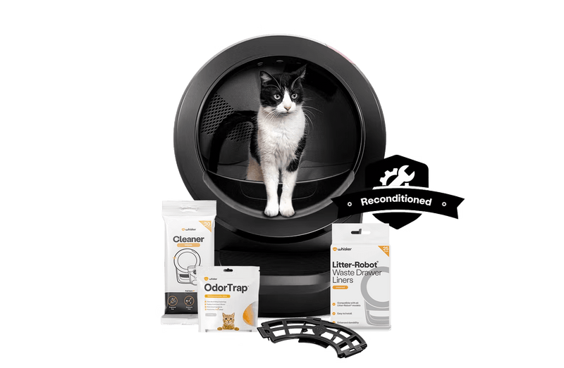 Black and White cat in an Litter-Robot 4-Reconditioned Bundle