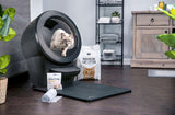 cat with Litter-Robot 4 Starter Bundle in black