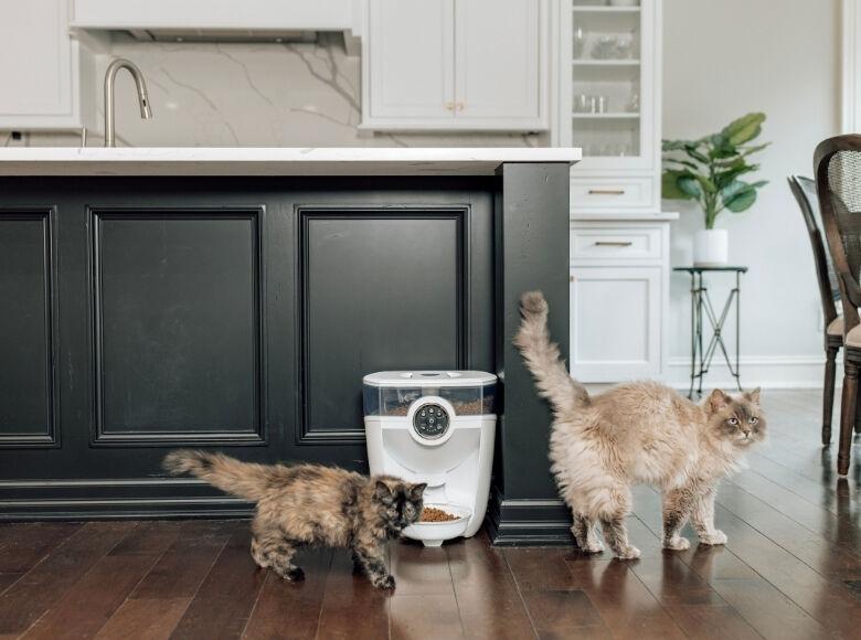 White Feeder-Robot automatic cat feeder with two cats