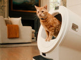 Cat using Litter-Robot 5 Pro self cleaning litter box with PetTag and cat collar