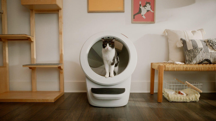 Litter-Robot® 4 Best Friends Bundle