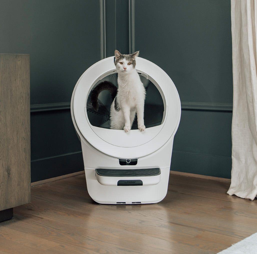 Litter-Robot in bedroom