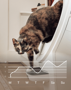 Advanced insights