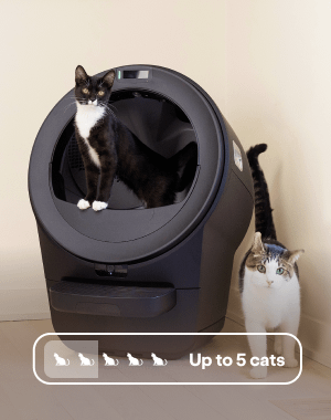 Multi-cat friendly