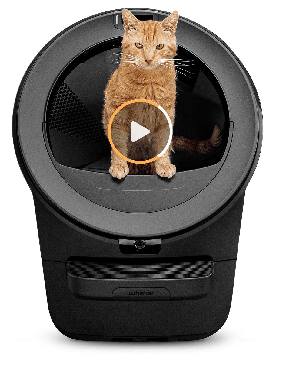 Litter-Robot product