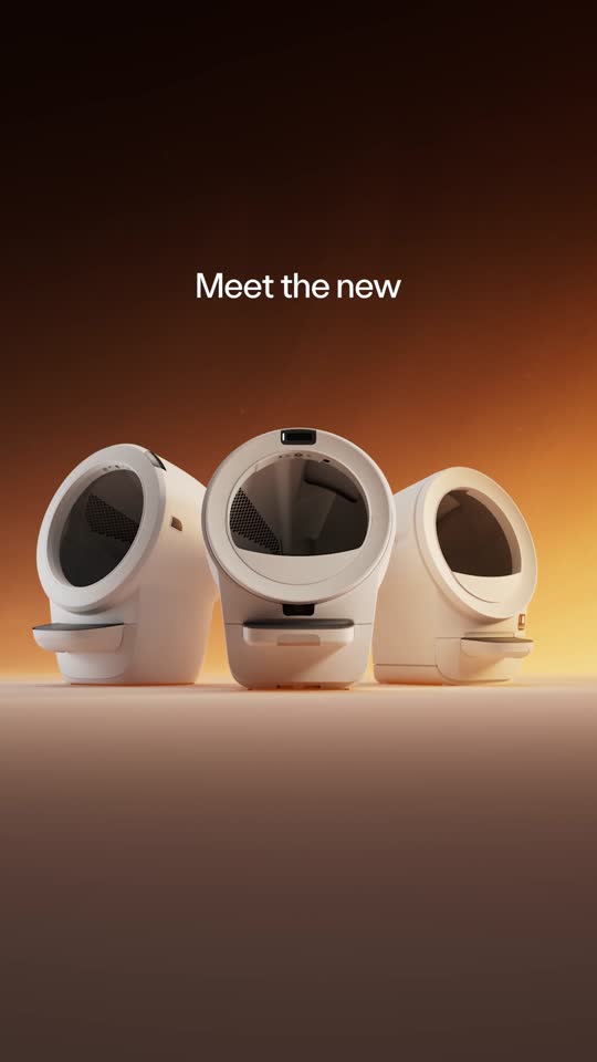 Meet the new lineup