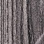 Woodgrain